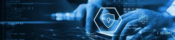 Cyber Insurance in NZ: Why Security Training Now Matters