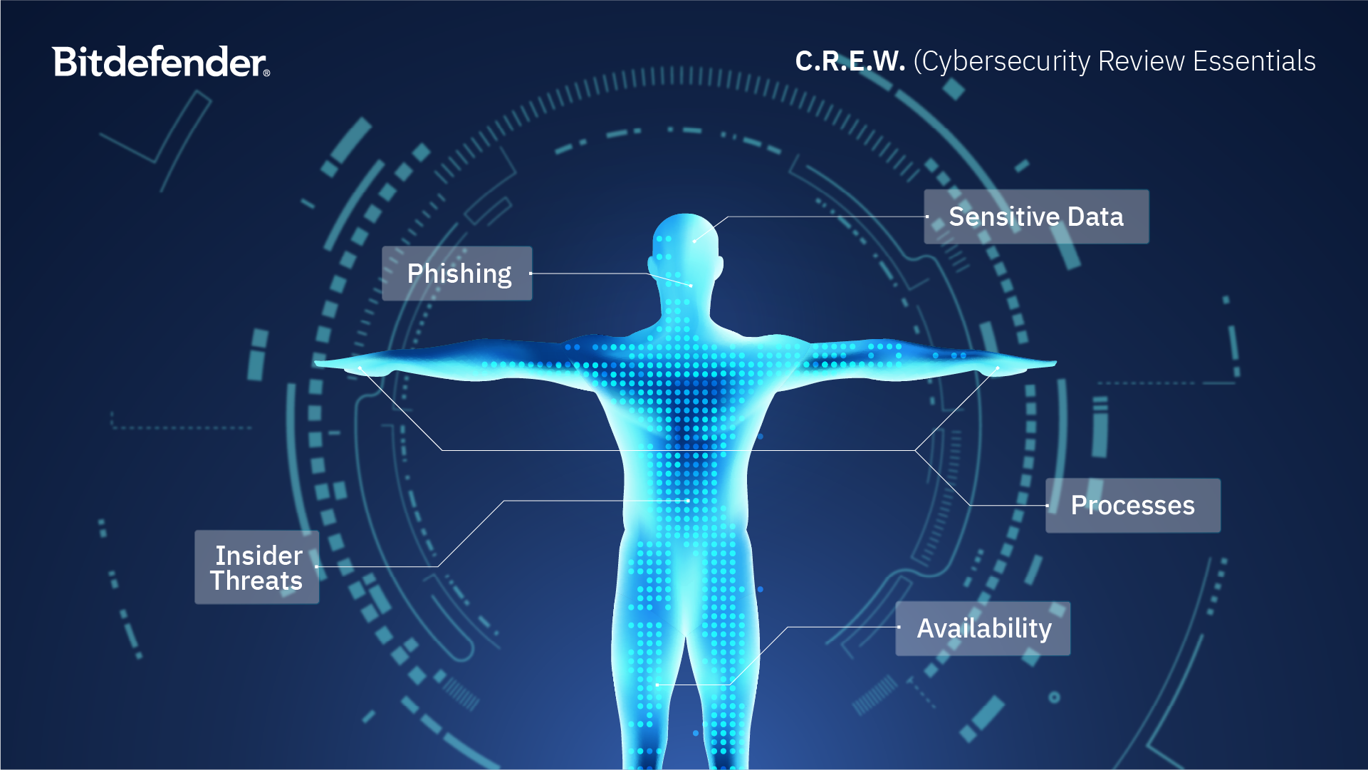 Bitdefender – CREW – Newsletter Visual (1)